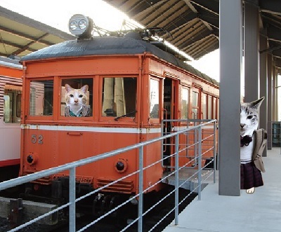 レトロ電車_a0333195_14263300.jpg