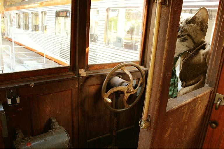 レトロ電車_a0333195_14362373.jpg