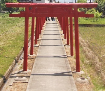 逆撮り鉄_a0333195_15162119.jpg