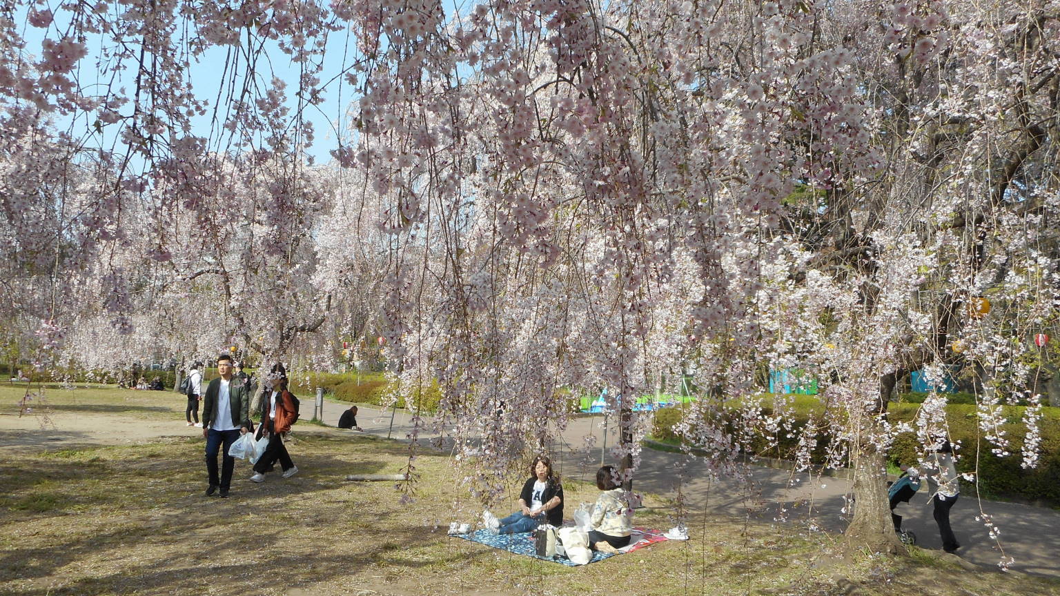 f0075595_19421158.jpg