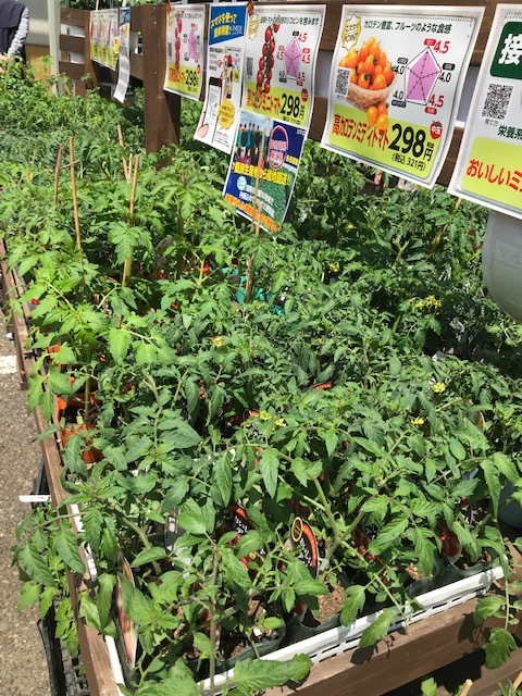 色々とデビュー_f0204295_14030791.jpg