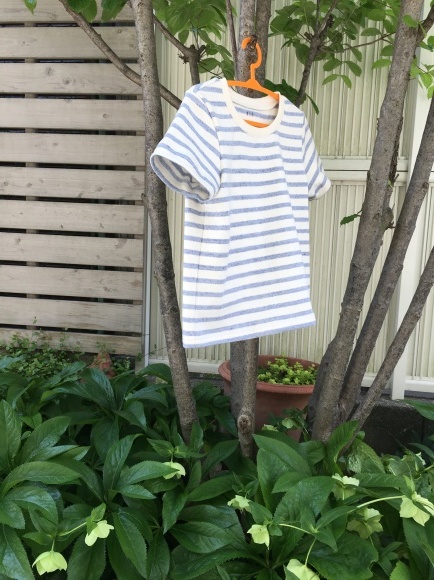 f0314196_11140087.jpeg