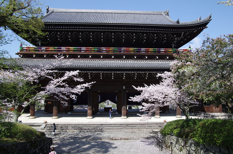 知恩院　桜_c0382798_10355314.jpg