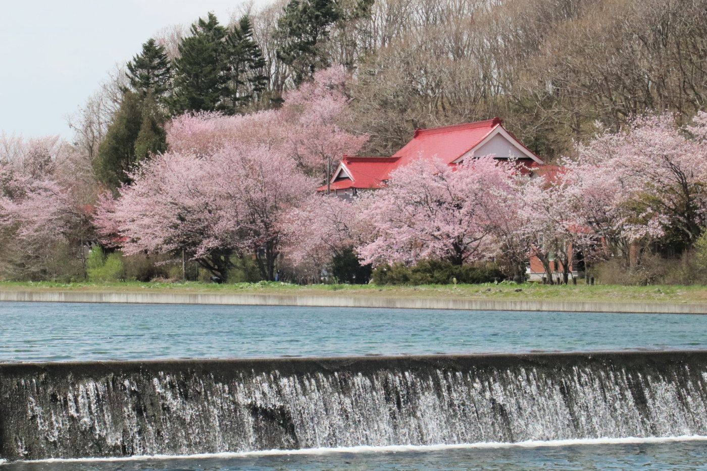 c0360399_1712276.jpg
