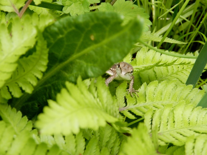 e0025300_20104349.jpg
