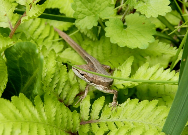 e0025300_20151995.jpg