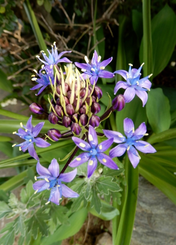 e0025300_206552.jpg