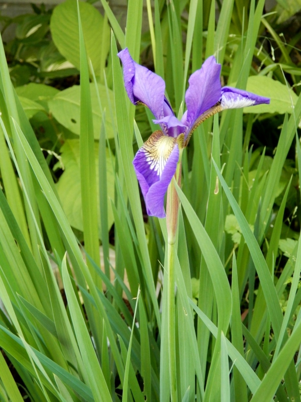 e0025300_2074336.jpg