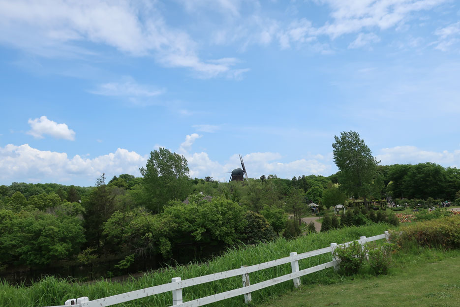 f0195002_19243854.jpg
