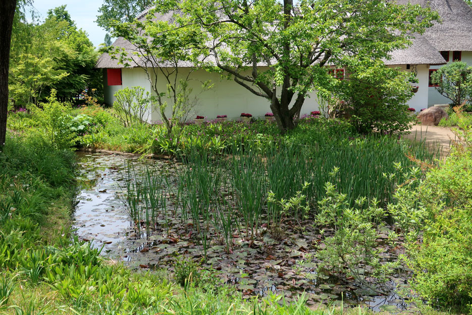 f0195002_19245460.jpg