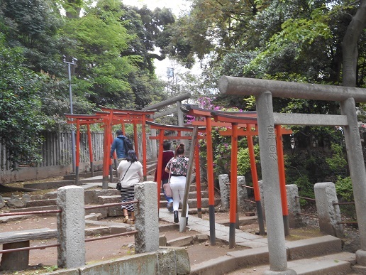 5月6日 根津神社・湯島天神・旧岩崎邸園 おまけで上野_d0009105_09320756.jpg