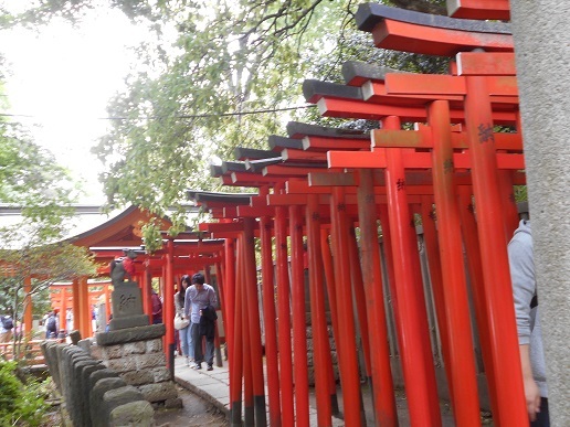 5月6日 根津神社・湯島天神・旧岩崎邸園 おまけで上野_d0009105_09331508.jpg