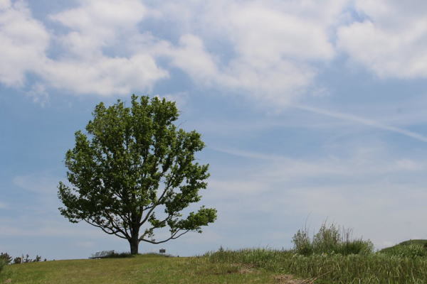 c0178009_20072384.jpg