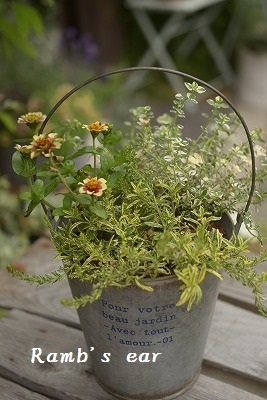 母の日♪　紫陽花♪　クレマチス♪　寄せ植え♪_e0128909_08031981.jpg