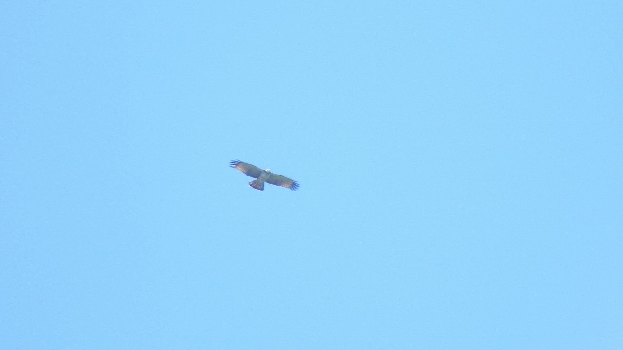 d0360910_21233216.jpg