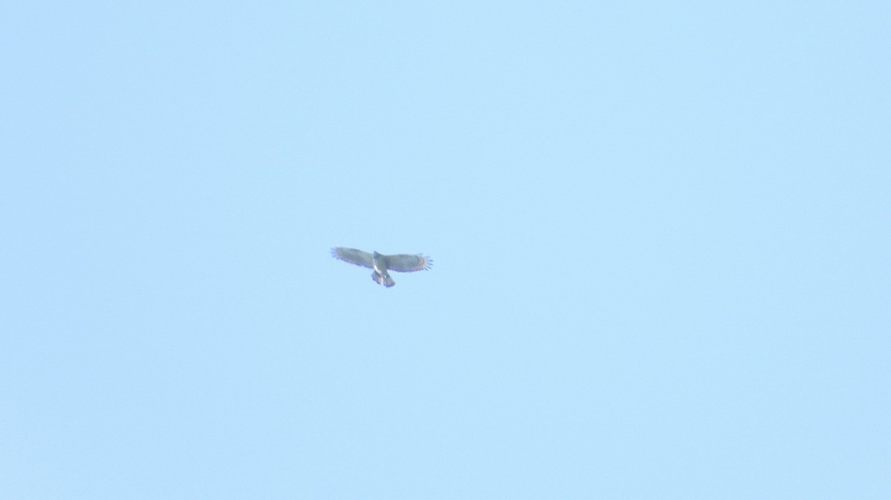 d0360910_22451095.jpg