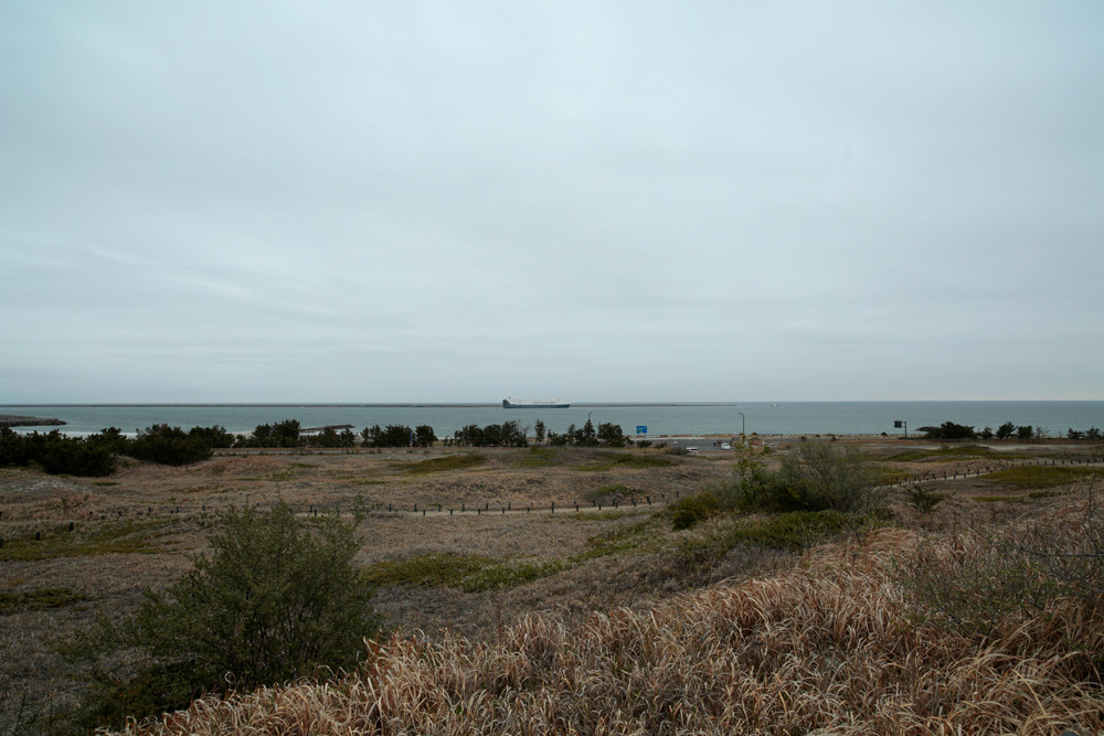 d0011713_13360035.jpg