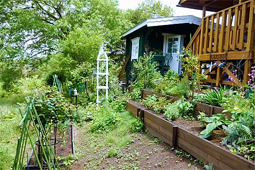 a0282620_22210408.jpg