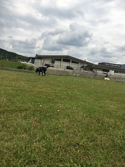 c0114121_00043184.jpg