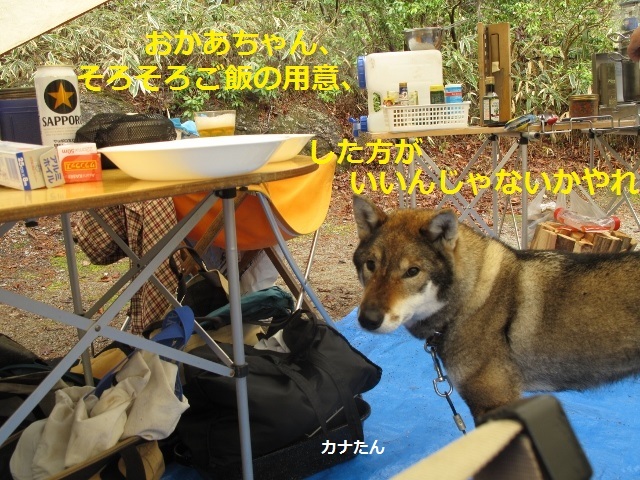 f0143123_08393120.jpg