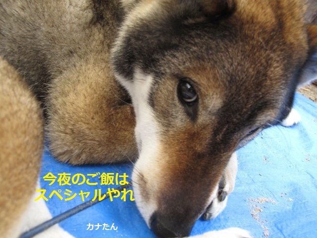 f0143123_08395855.jpg