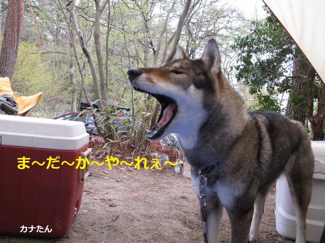 f0143123_08402911.jpg