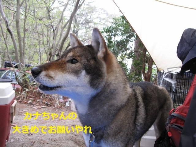f0143123_08403760.jpg