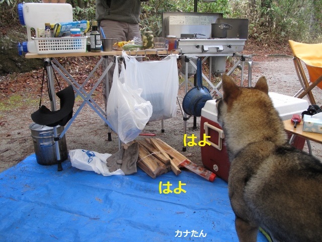 f0143123_08404657.jpg