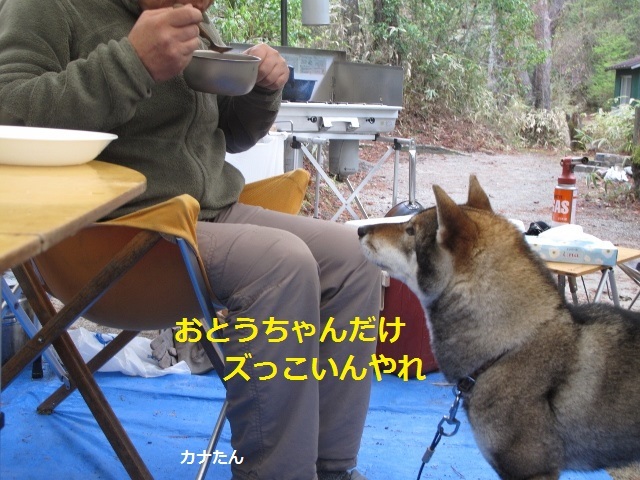 f0143123_08405702.jpg