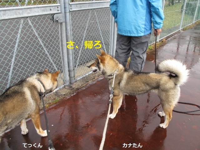 f0143123_08524462.jpg