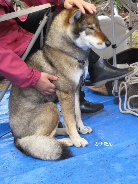f0143123_08560637.jpg