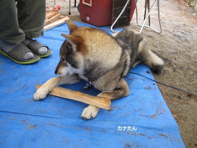 f0143123_08561793.jpg
