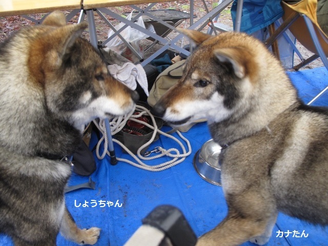 f0143123_08562705.jpg
