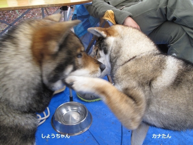 f0143123_08563527.jpg