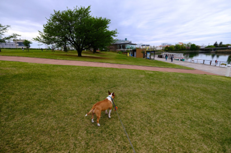 b0310424_15174864.jpg