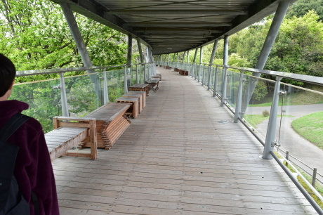 f0362524_19512191.jpg