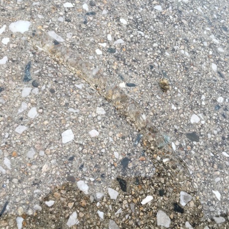 f0362524_20461031.jpg