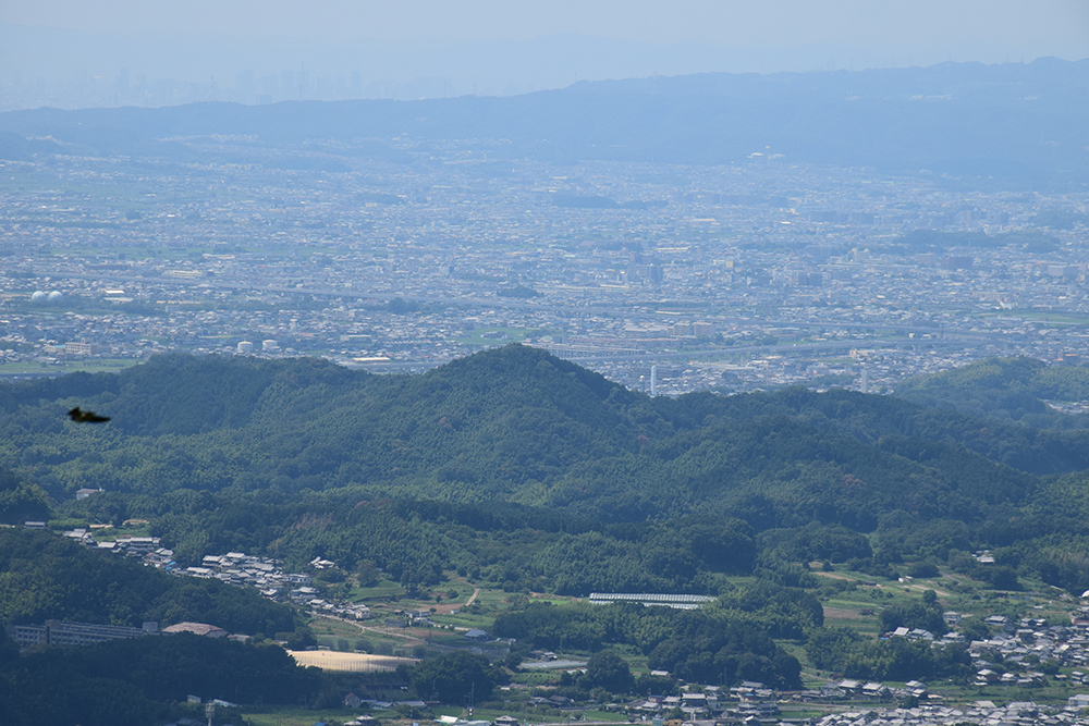 e0158128_21544856.jpg