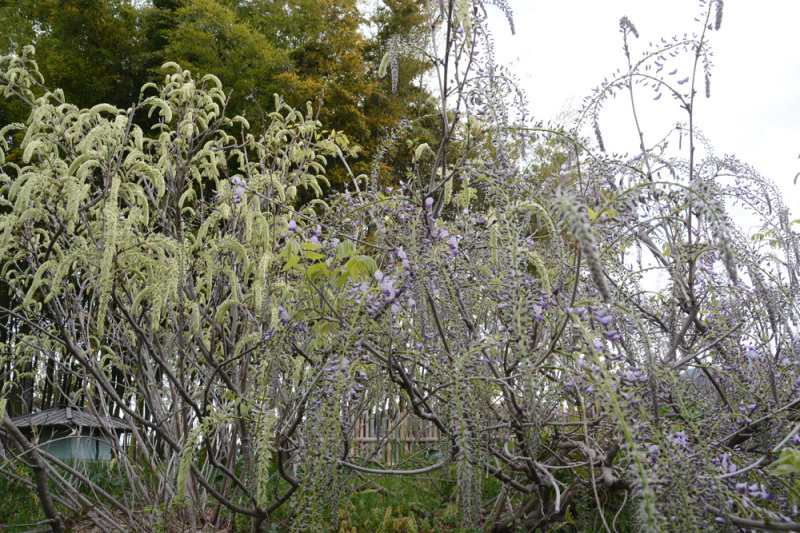 c0107129_03454277.jpg