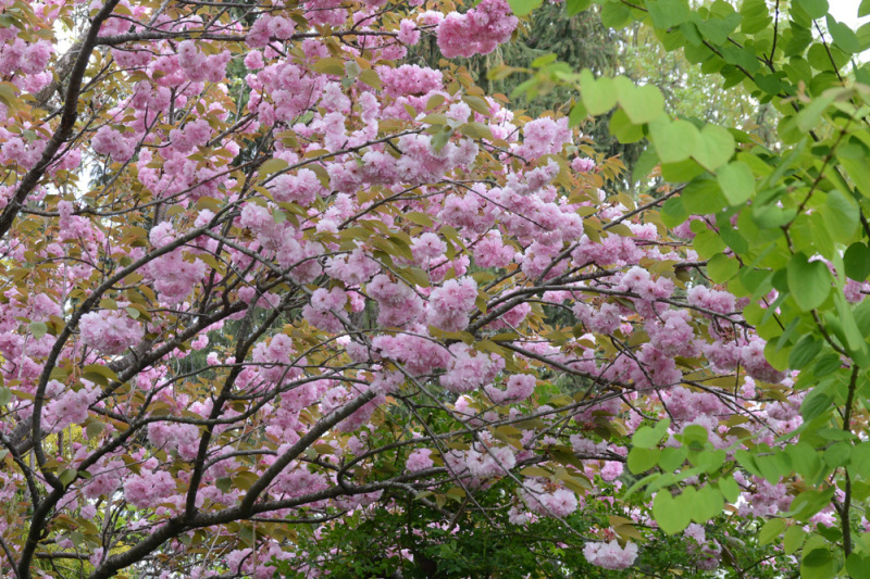 c0107129_03494905.jpg
