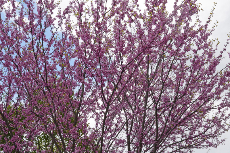 c0107129_04284388.jpg