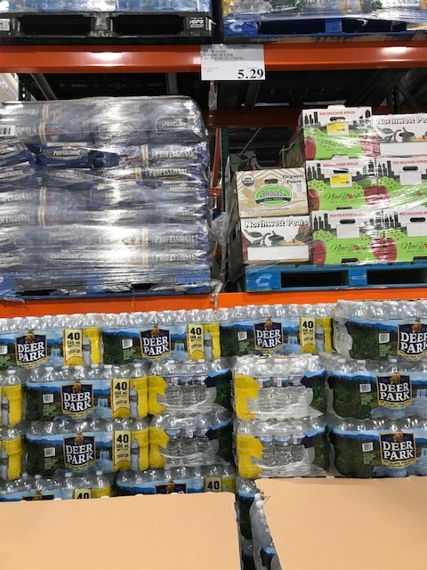 消費税無しの州でコストコお買い物_d0269832_19593206.jpeg