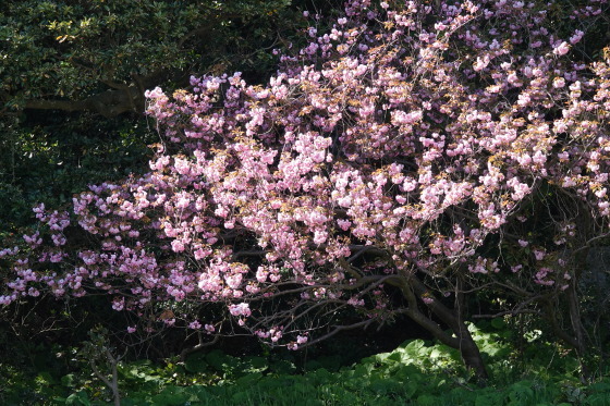 f0118332_23444780.jpg