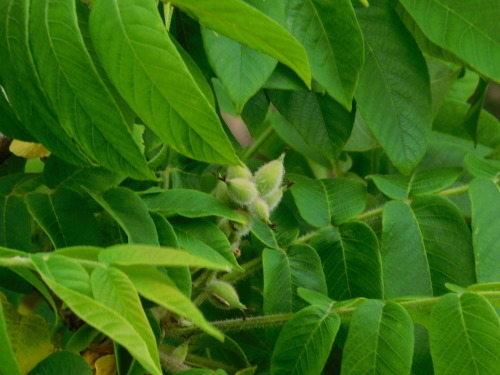c0338136_08303870.jpg