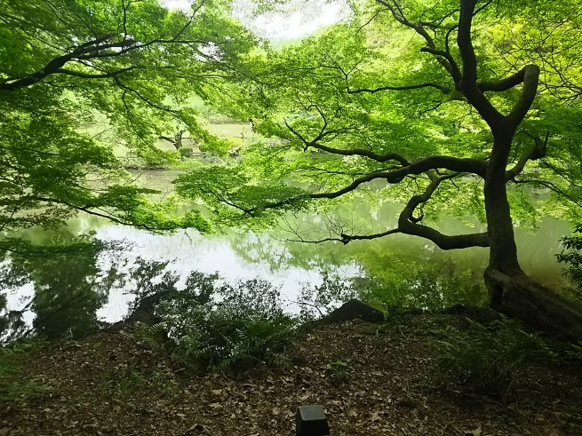 c0076939_22432149.jpg
