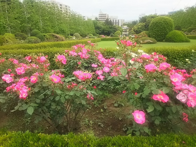 c0076939_22493578.jpg