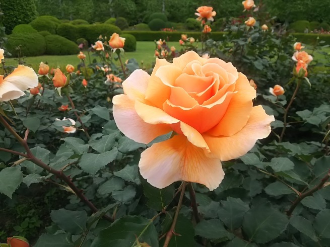 c0076939_23115540.jpg