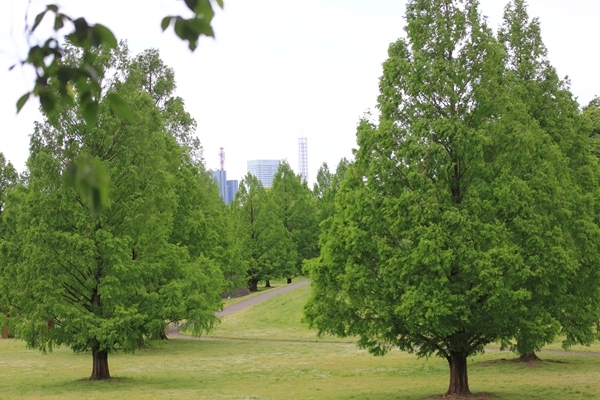 c0229539_14341956.jpg