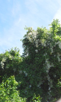GW終了！_b0145843_22112779.jpg