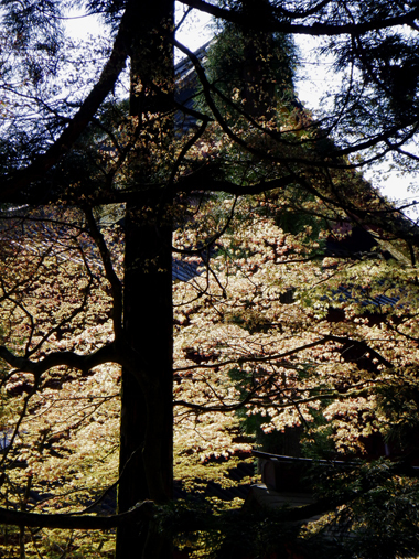 f0055244_13074472.jpg